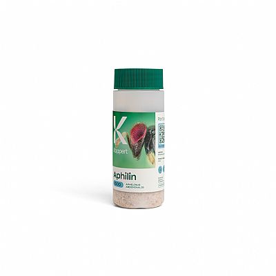  APHILIN / Aphelinus abdominalis