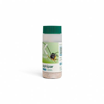 APHIPAR / Aphidius colemani