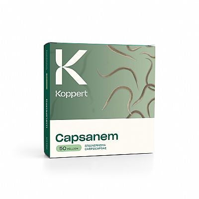 CAPSANEM / Steinernema carpocapsae