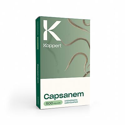 CAPSANEM / Steinernema carpocapsae