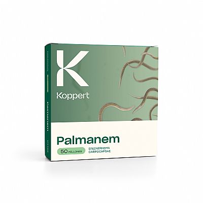 PALMANEM / Steinernema carpocapsae