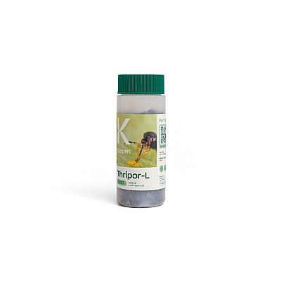 THRIPOR - L / Orius laevigatus 