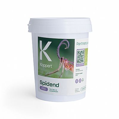 SPIDEND / Feltiella acarisuga   