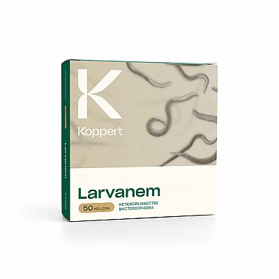 LARVANEM / Heterorhabditis bacteriophora   