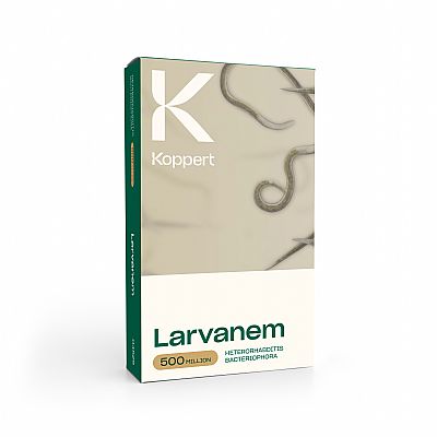 LARVANEM / Heterorhabditis bacteriophora   