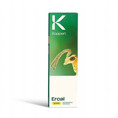 ERCAL / Eretmocerus eremicus   