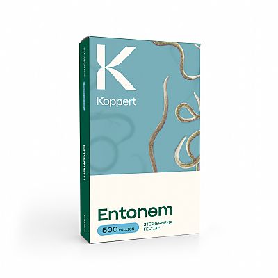 ENTONEM / Steinernema feltiae   
