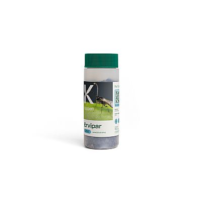 ERVIPAR / Aphidius ervi   