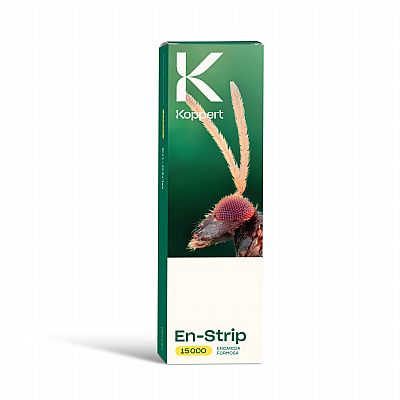 EN-STRIP / Encarsia formosa   