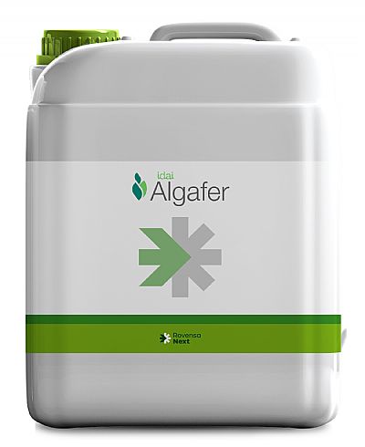 Idai ALGAFER