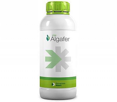 Idai ALGAFER