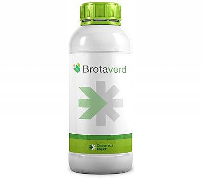 Idai BROTAVERD 