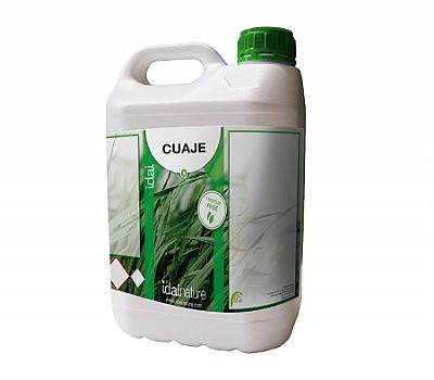 Idai CUAJE 