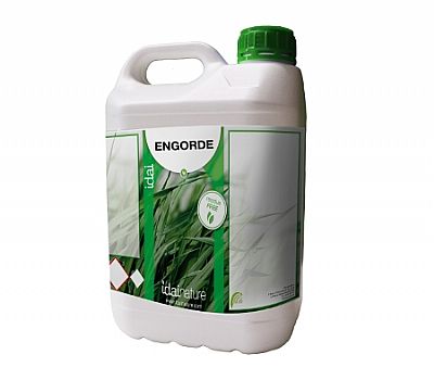 Idai ENGORDE 