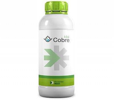 Idai COBRE 