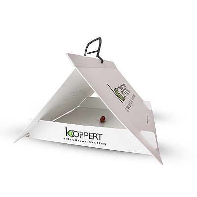 DELTATRAP 