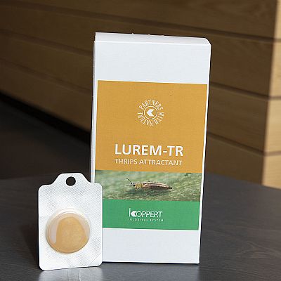 LUREM-TR 