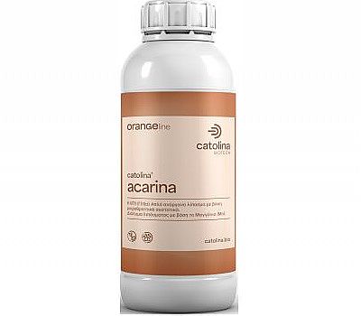 ACARINA
