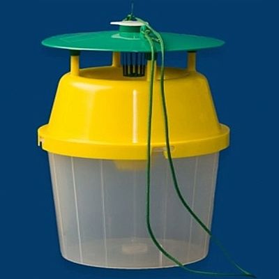 FUNNEL TRAP