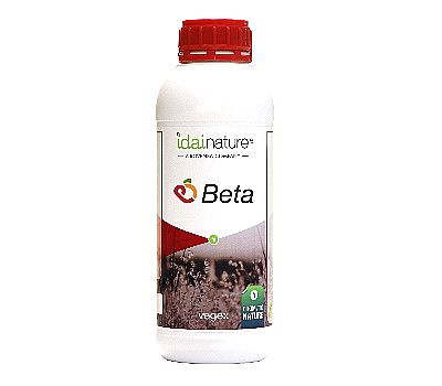 Vegex BETA