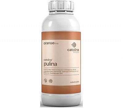PULINA