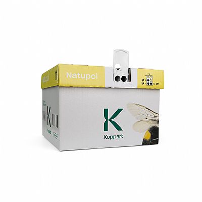 NATUPOL STANDARD