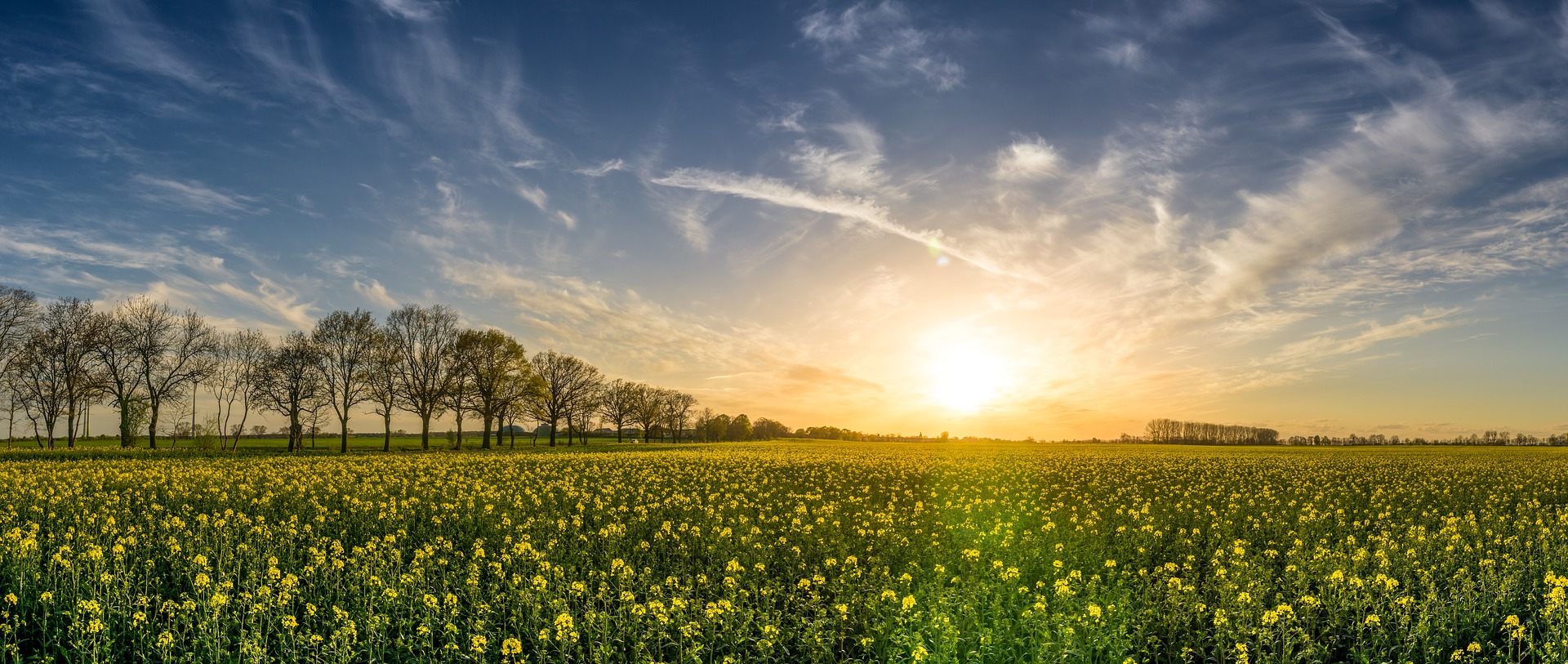 «Zero Residue» Agriculture